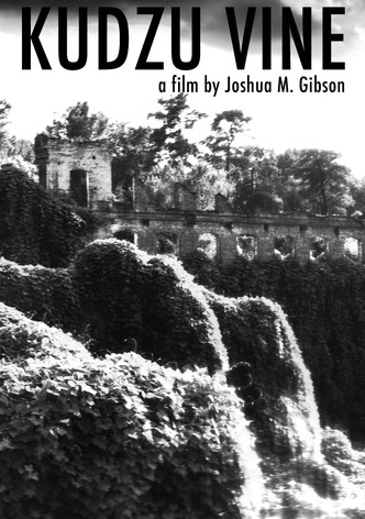 Kudzu Vine