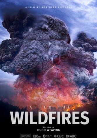 After the Wildfires