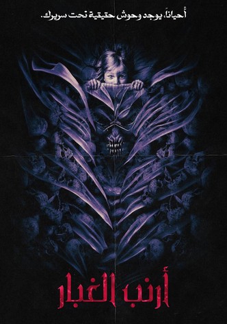 أرنب الغبار