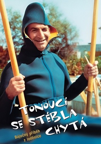 Tonoucí se stébla chytá