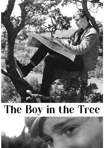 The Boy in the Tree