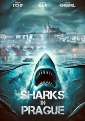 Sharks in Prague