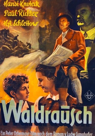 Waldrausch