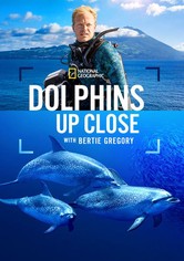 Dolphins Up Close with Bertie Gregory