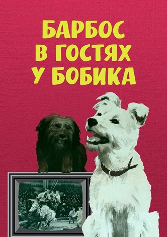 Barbos Visiting Bobik
