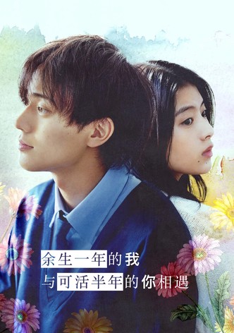 餘生一年的我，與可活半年的妳相遇