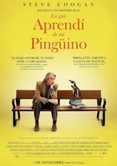 Lo que aprendí de mi pingüino