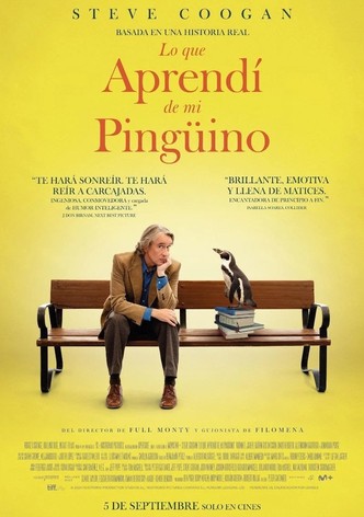 Lo que aprendí de mi pingüino