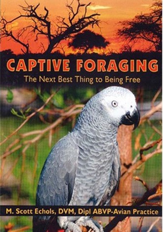 Captive Foraging