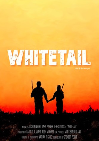 Whitetail