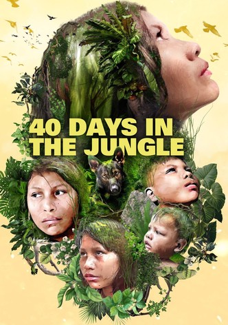 40 Days Lost in the Jungle