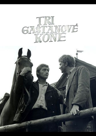Tri gaštanové kone