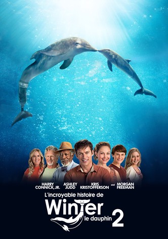 L'Incroyable Histoire de Winter le dauphin 2