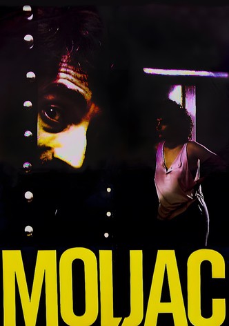 The Moth