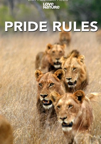Pride Rules