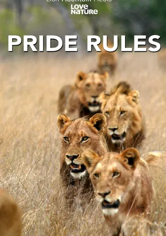 Pride Rules poster