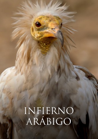 Infierno arábigo - Temporada 1