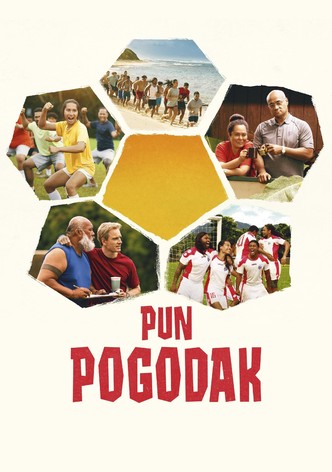 Pun pogodak