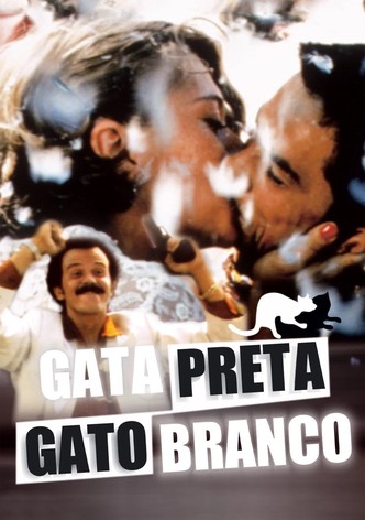 Gato Preto, Gato Branco