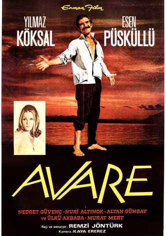 Avare