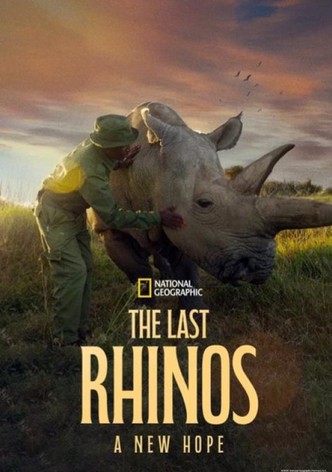 The Last Rhinos: A New Hope