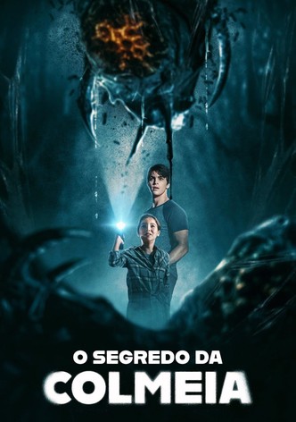 O Segredo da Colmeia