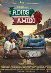 Adios Amigo
