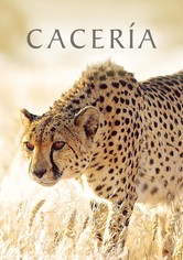 La caza