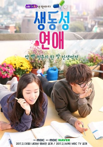 Romance Full of Life