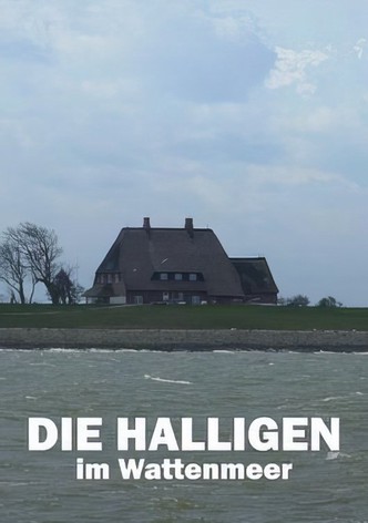 Die Halligen im Wattenmeer