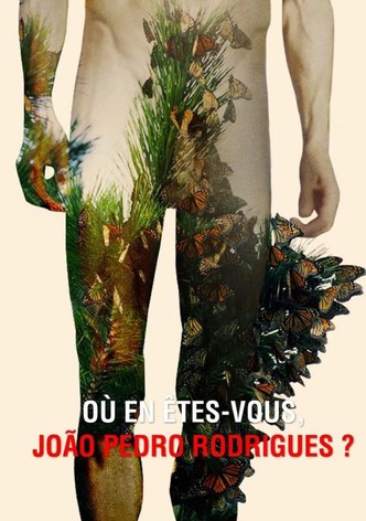 Où en êtes-vous, João Pedro Rodrigues ?