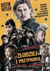 Złodziej z przypadku