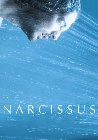 Narcissus