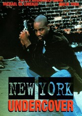 New York Undercover