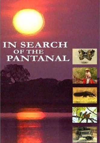 In Search of the Pantanal