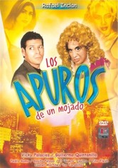 Los apuros de un mojado