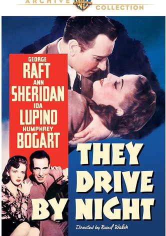 Divided Highway: The Story of 'They Drive by Night'