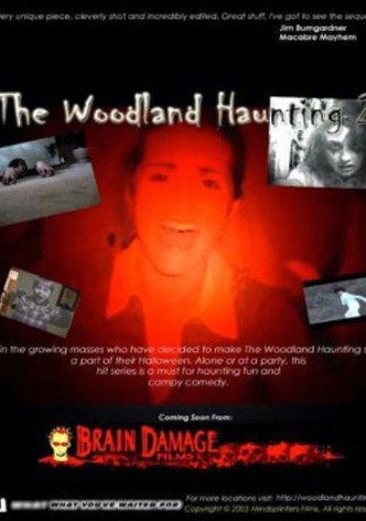 The Woodland Haunting 2