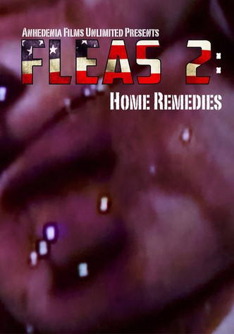 Fleas 2: Home Remedies
