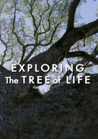 Exploring 'The Tree of Life'