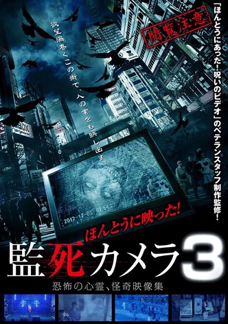 Paranormal Surveillance Camera 3