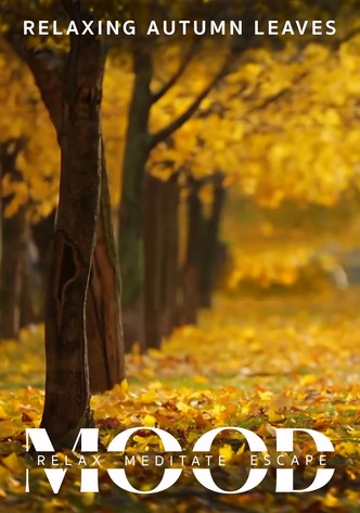 Relaxing Autumn Leaves: Mood - Relax, Meditate, Escape