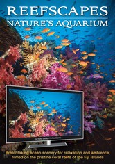 サンゴ礁:自然の水族館