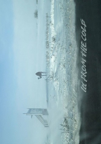 Camel: In From the Cold