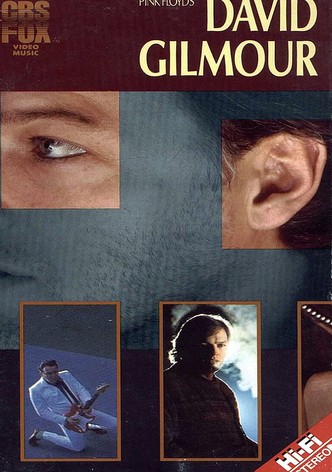David Gilmour: Live 1984