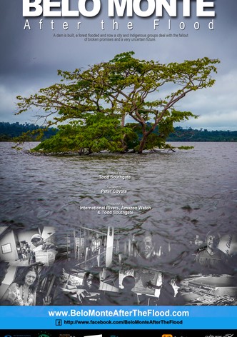 Belo Monte: After the Flooding