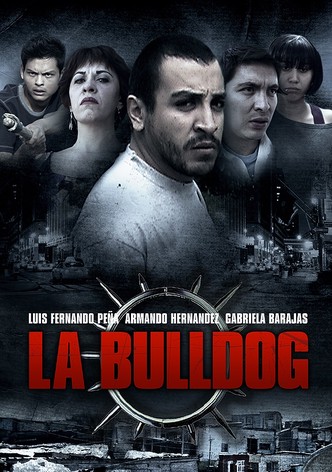 Los hijos de la Bulldog