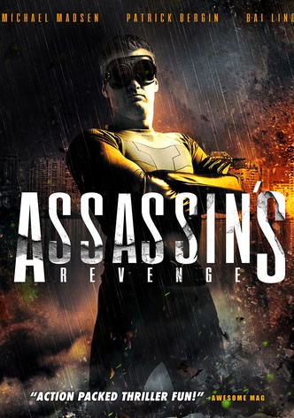 Assassins Revenge