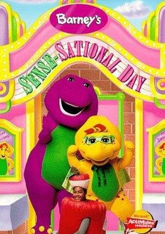 Barney's Sense-Sational Day