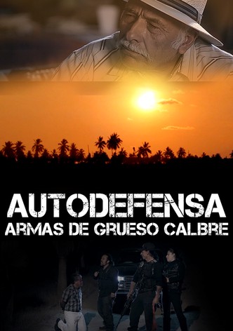 Autodefensa: Armas de Grueso Calibre